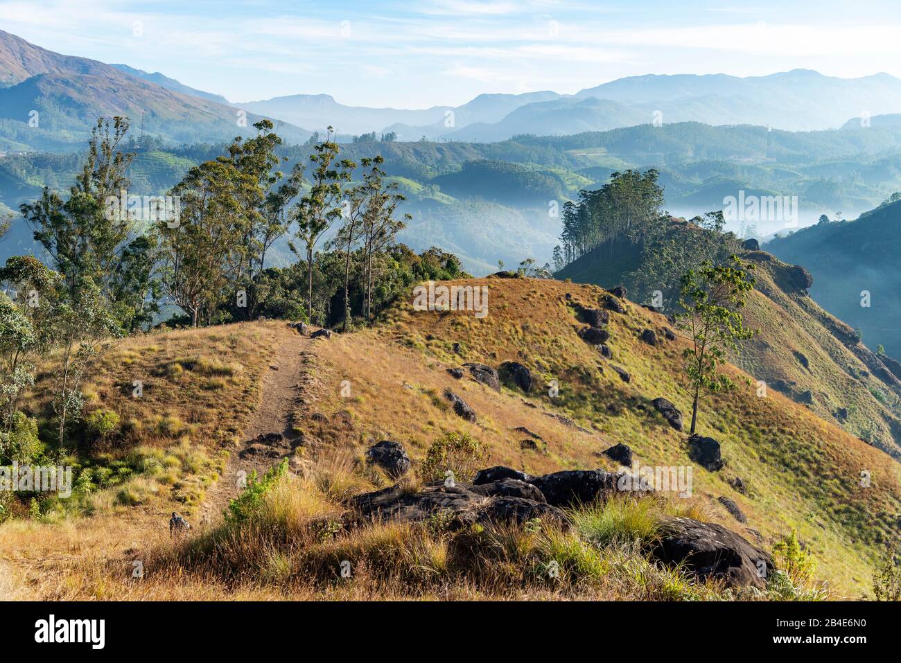 India, Kerala, Munnar, Anamudi Peak, landscape, mountain range, hiking Stock Photo