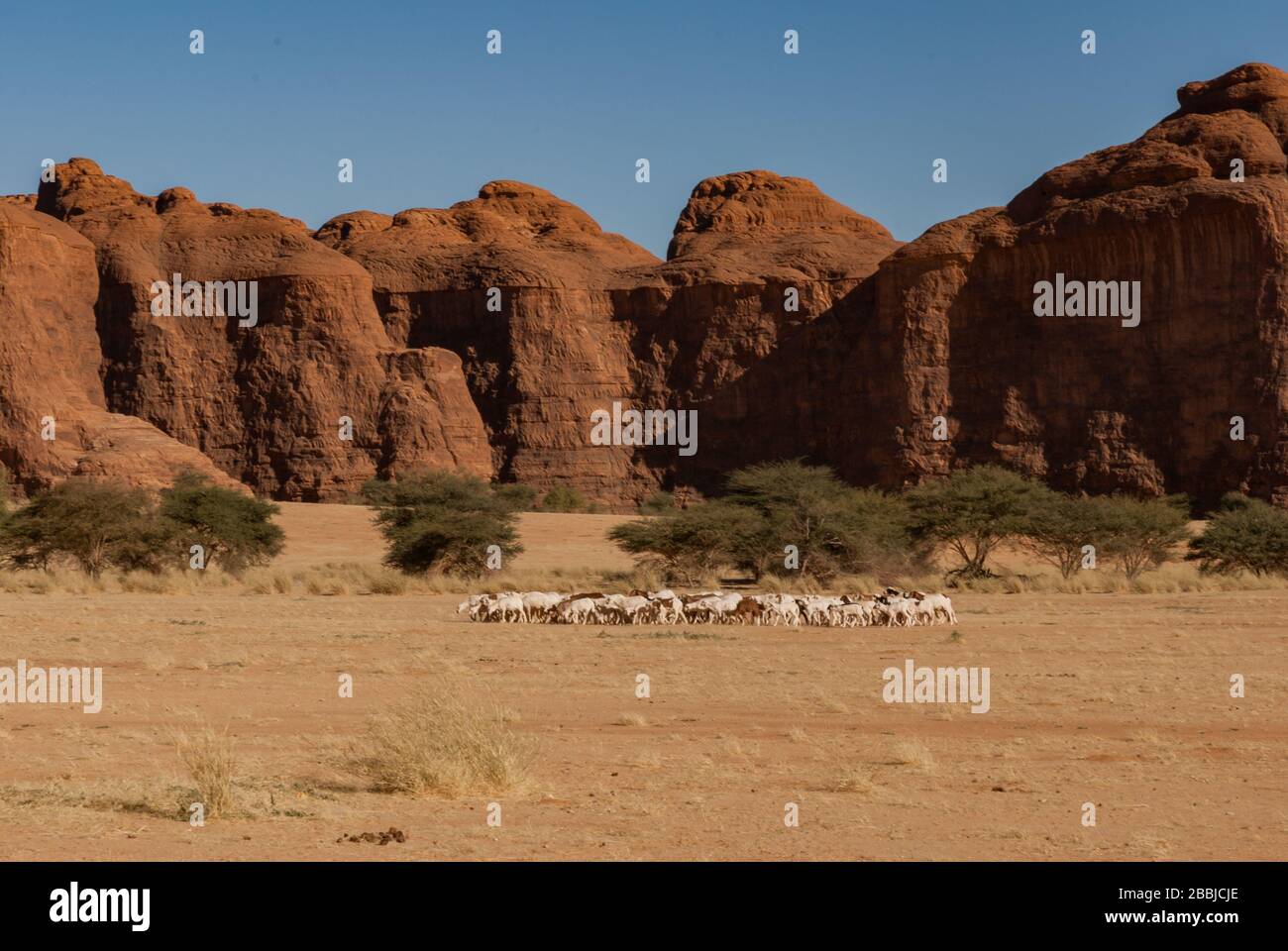 Natural rock formations, Chad, Africa Stock Photo