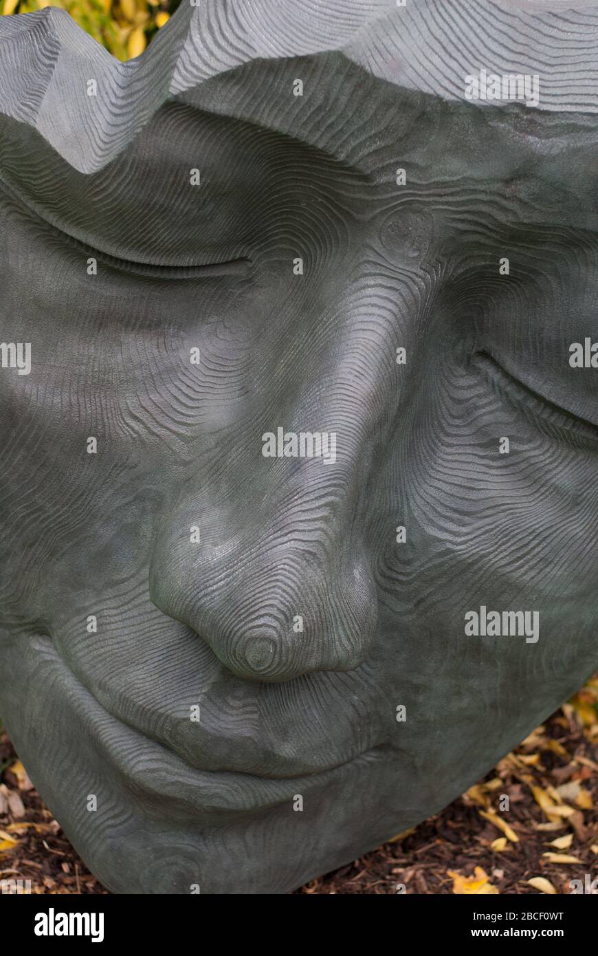 The Fallen Deodar Sculpture by Jilly Sutton Sand Blasted Bronze Sculpt at Kew 2017 Royal Botanic Gardens Kew Gardens, Richmond, London, TW9 3AE Stock Photo