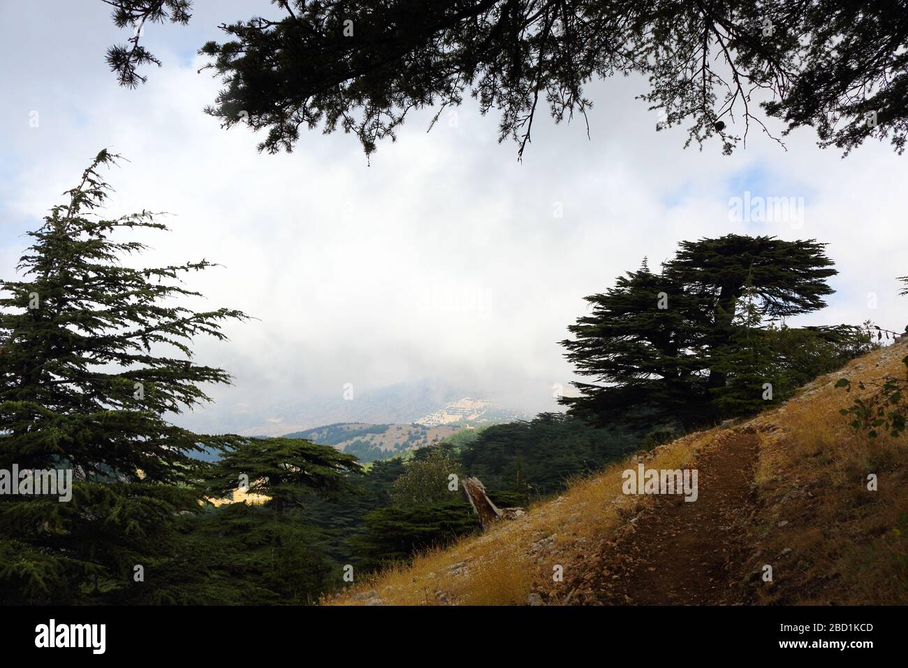 Lebanese landscape at Arez al Barouk. Stock Photo