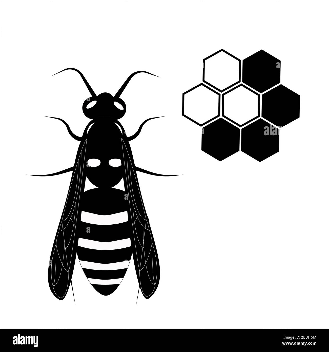 Vespula vulgaris Stock Vector Images - Alamy