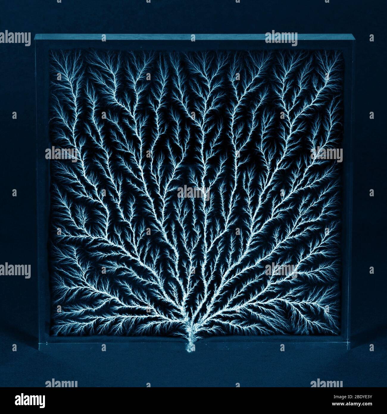 Electron Tree or Lichtenberg Figure Stock Photo