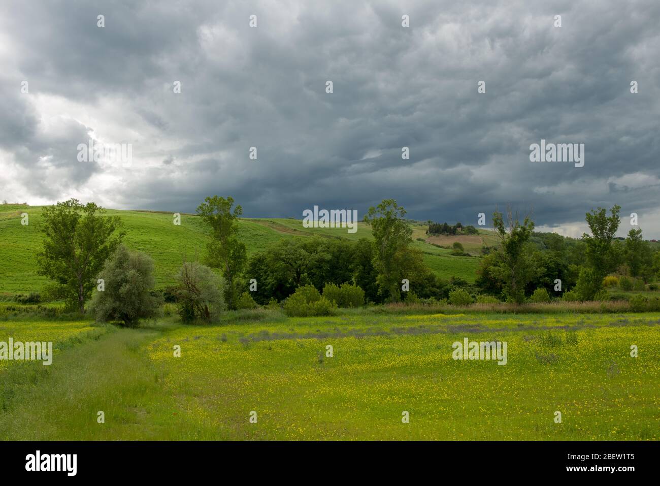 TOSKANA . TUSCANY Stock Photo