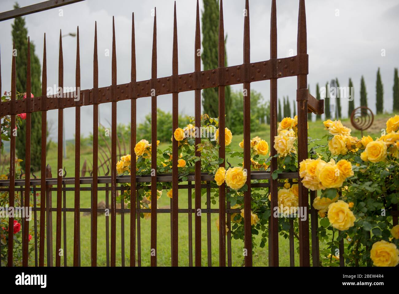 TOSKANA . TUSCANY . VAL'DORCIA Stock Photo