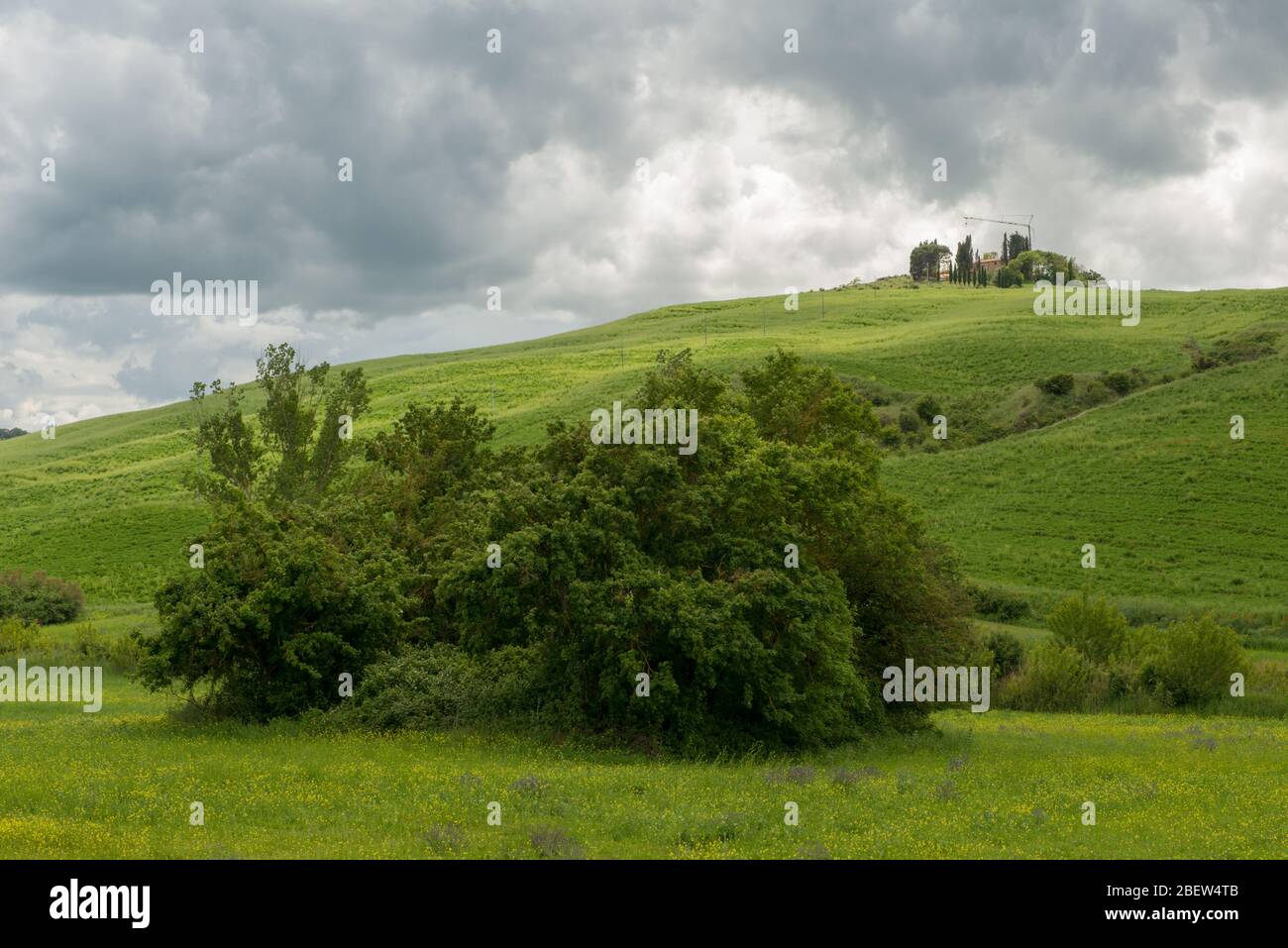 TOSKANA . TUSCANY . VAL D'ORCIA Stock Photo