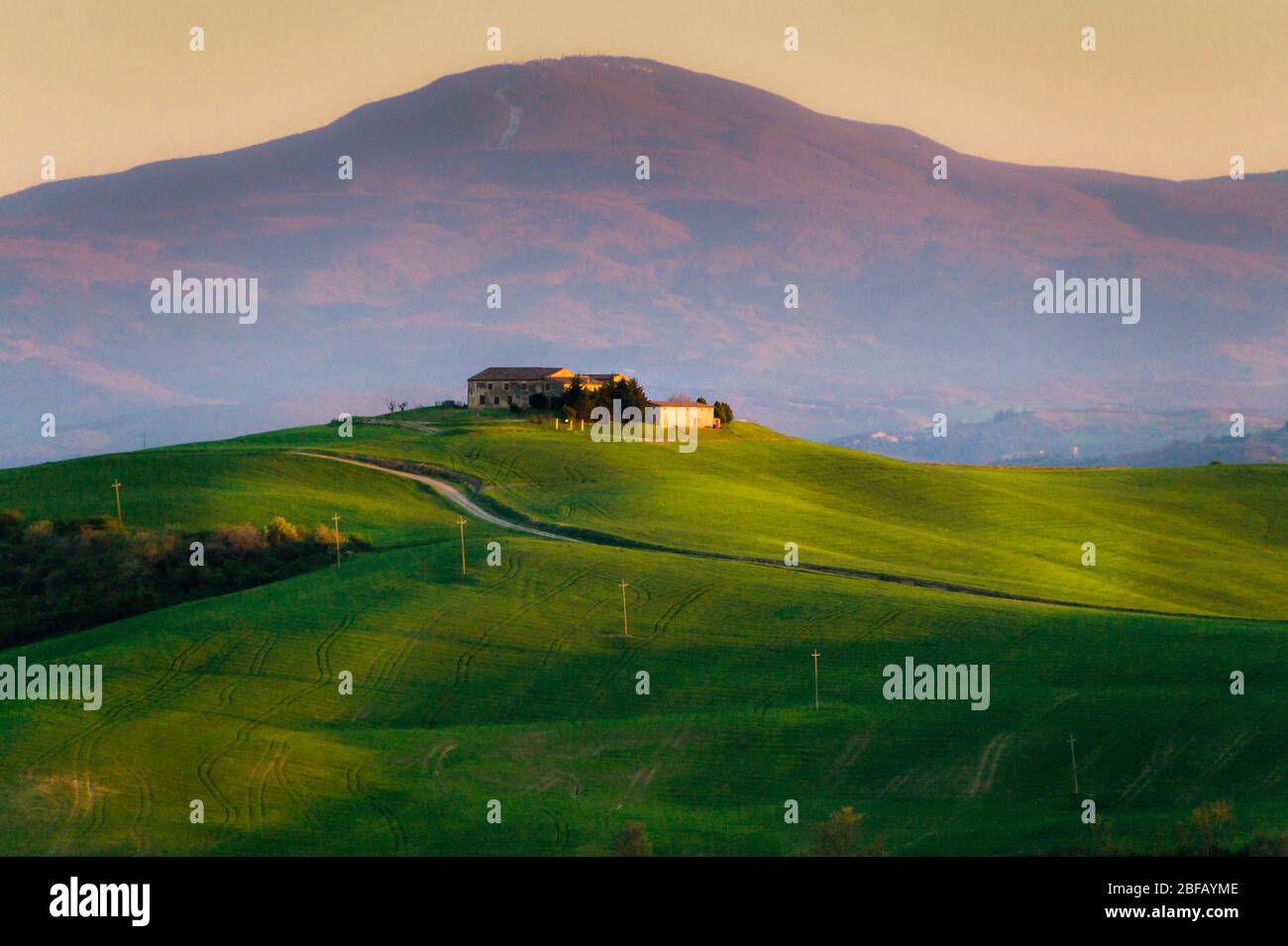 Abendstimmung in der Chrete, Toskana, Italien Stock Photo