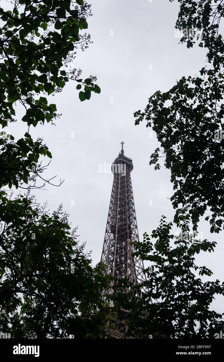 View of the top section of Eiffel Tower through silhouette of foliage Stock Photo