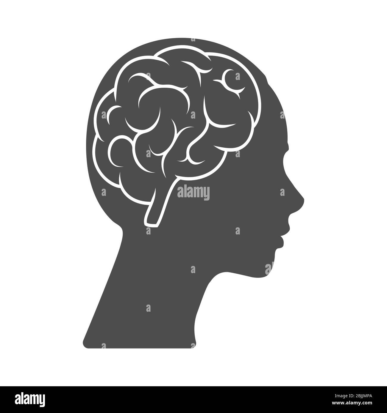 Head Silhouette With Brain