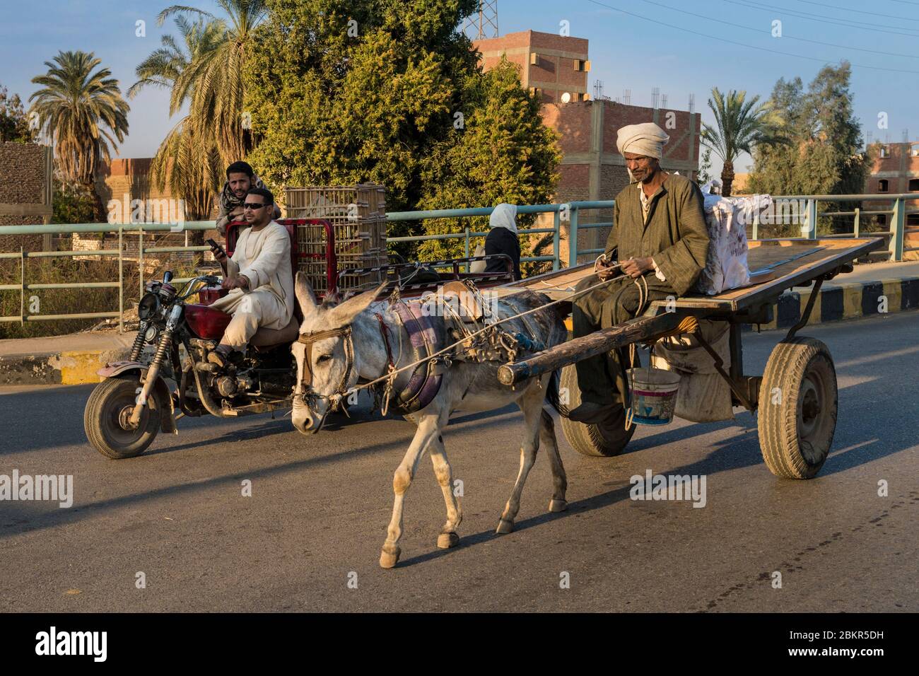 Egypt, Upper Egypt, Esna, horse cart between Luxor and Aswan Stock Photo