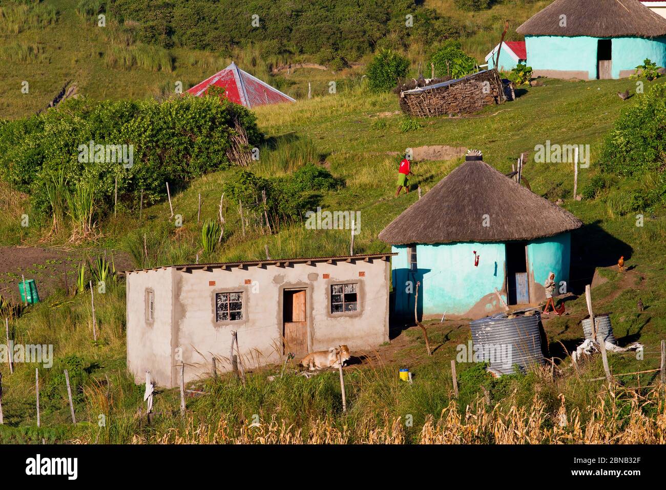 rural housing Eastern Cape , South Africa Stock Photo