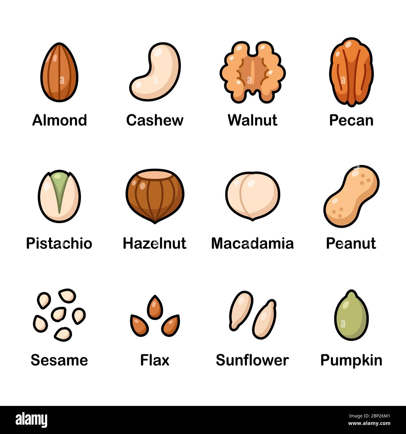 Nuts and seeds icon set. Cartoon color icons, isolated vector clip art illustration. Stock Vector