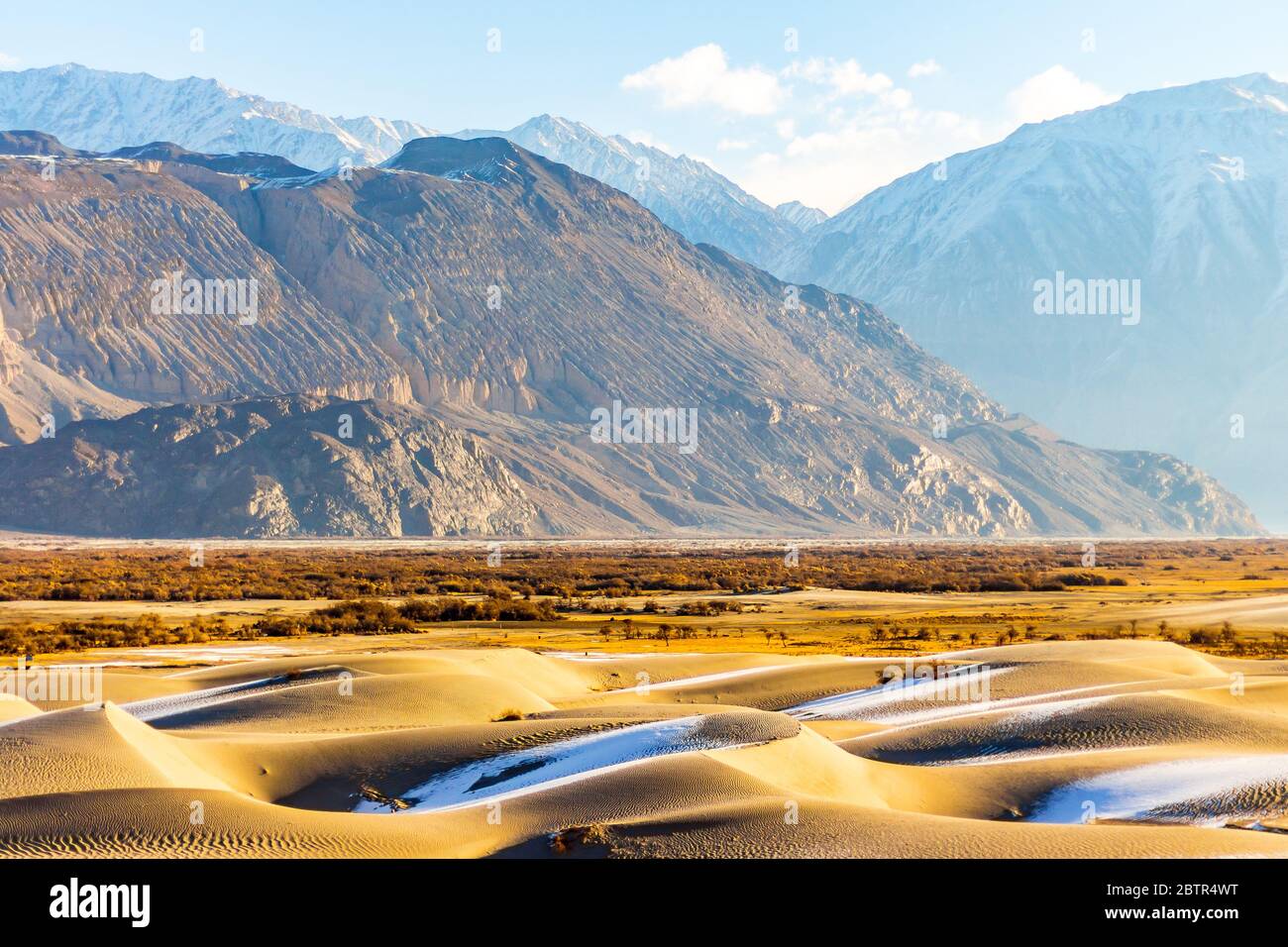 Hunder sand dunes in Ladakh Jammu & Kashmir, India. Stunning silver sand dunes of Hunder in the Nubra Valley region located in Ladakh, India. - Image Stock Photo