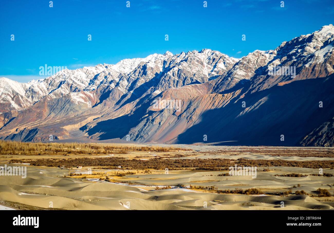 Hunder sand dunes in Ladakh Jammu & Kashmir, India. Stunning silver sand dunes of Hunder in the Nubra Valley region located in Ladakh, India. - Image Stock Photo