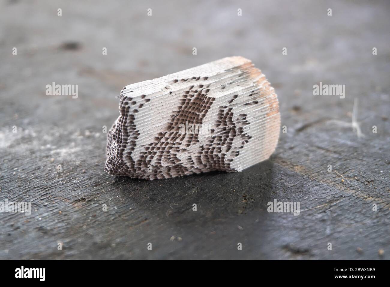 The core of each catalytic converter is an internal ceramic honeycomb structure that has a washcoat containing platinum (Pt), palladium (Pd), and rhod Stock Photo