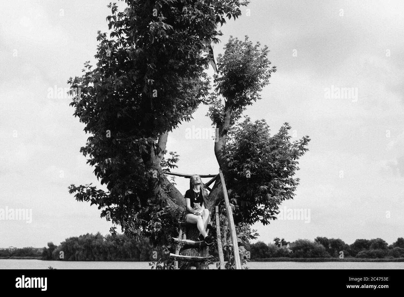 A young woman with a three-month-old Scottish Straight kitten sits on a beautiful green tree above the lake in summer. Walk, rest with a pet. The blonde is wearing short denim shorts, a black cotton T-shirt and glasses. Stock Photo