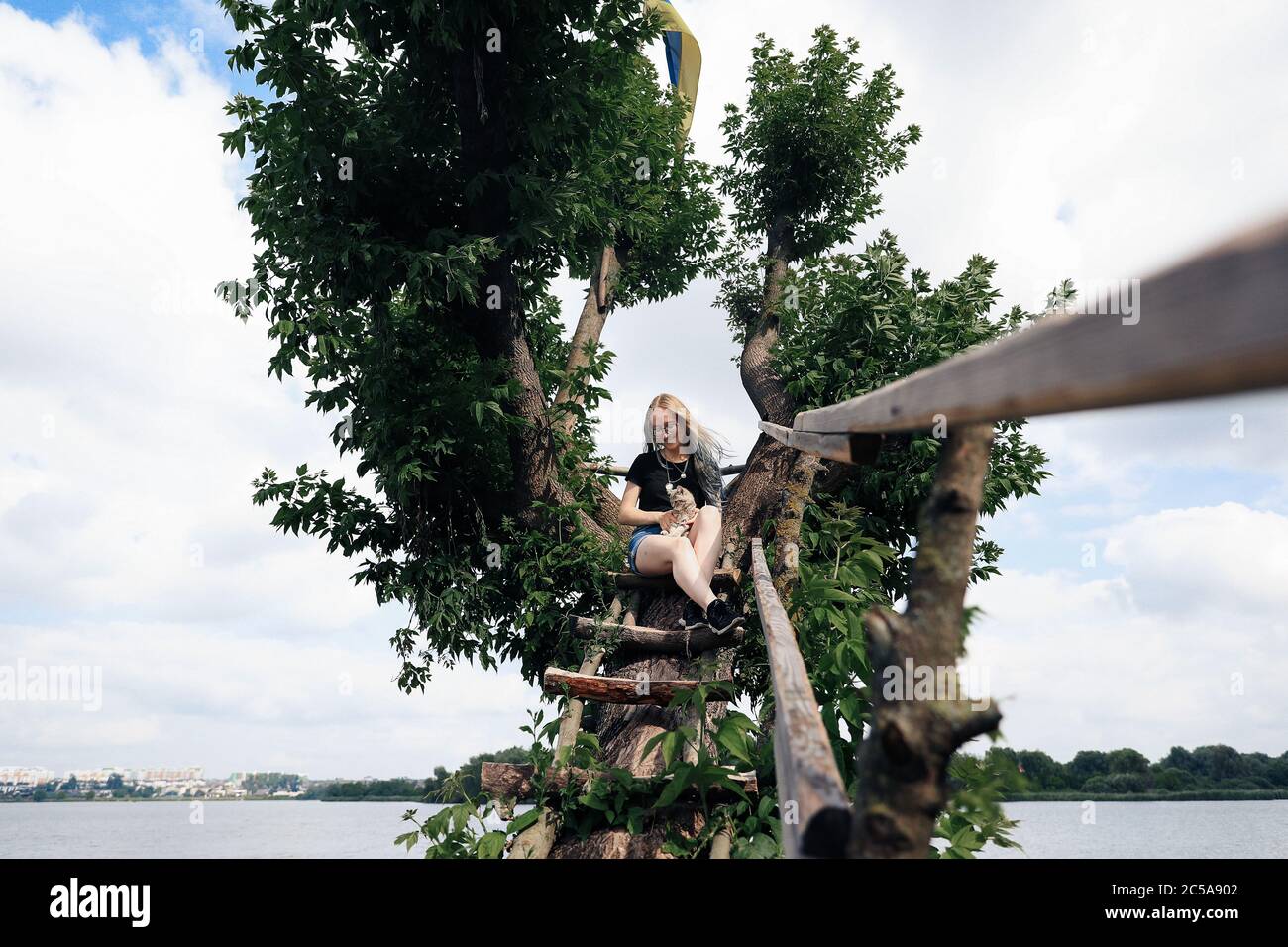 A young woman with a three-month-old Scottish Straight kitten sits on a beautiful green tree above the lake in summer. Walk, rest with a pet. The blonde is wearing short denim shorts, a black cotton T-shirt and glasses. Stock Photo