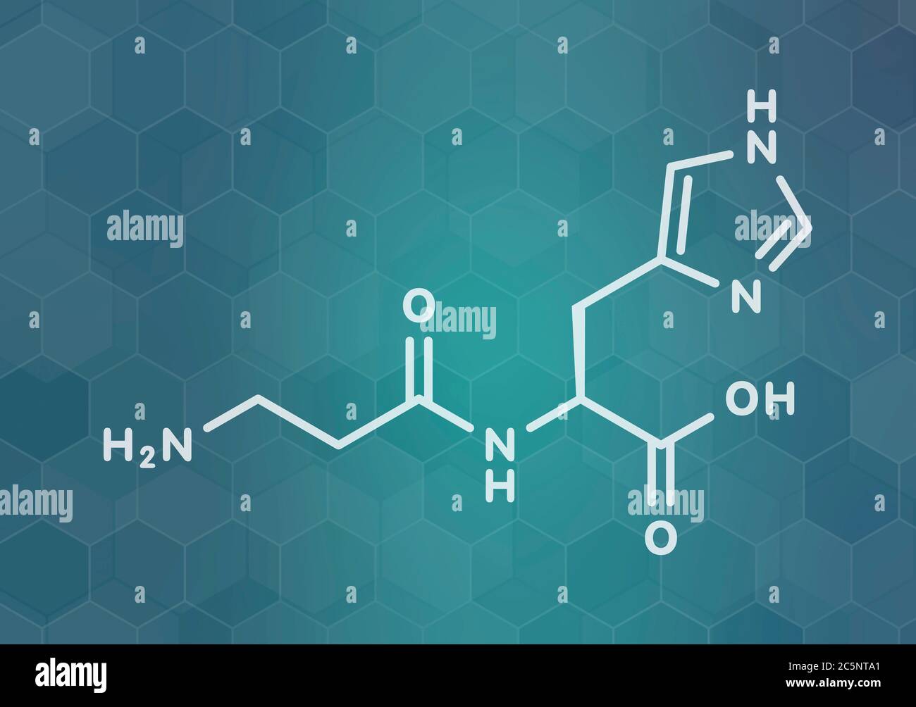 Carnosine (L-carnosine) food supplement molecule. Skeletal formula. Stock Photo