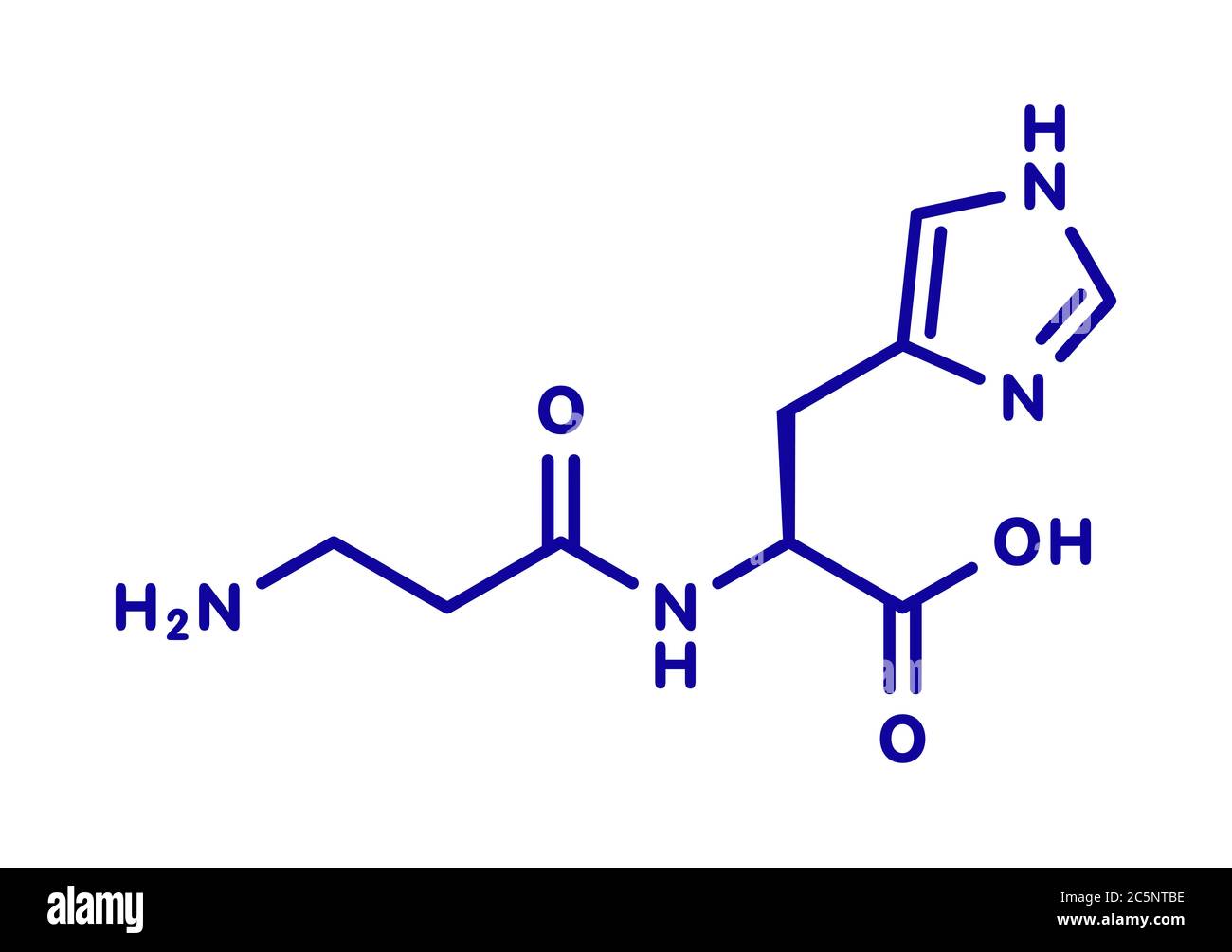 Carnosine (L-carnosine) food supplement molecule. Skeletal formula. Stock Photo