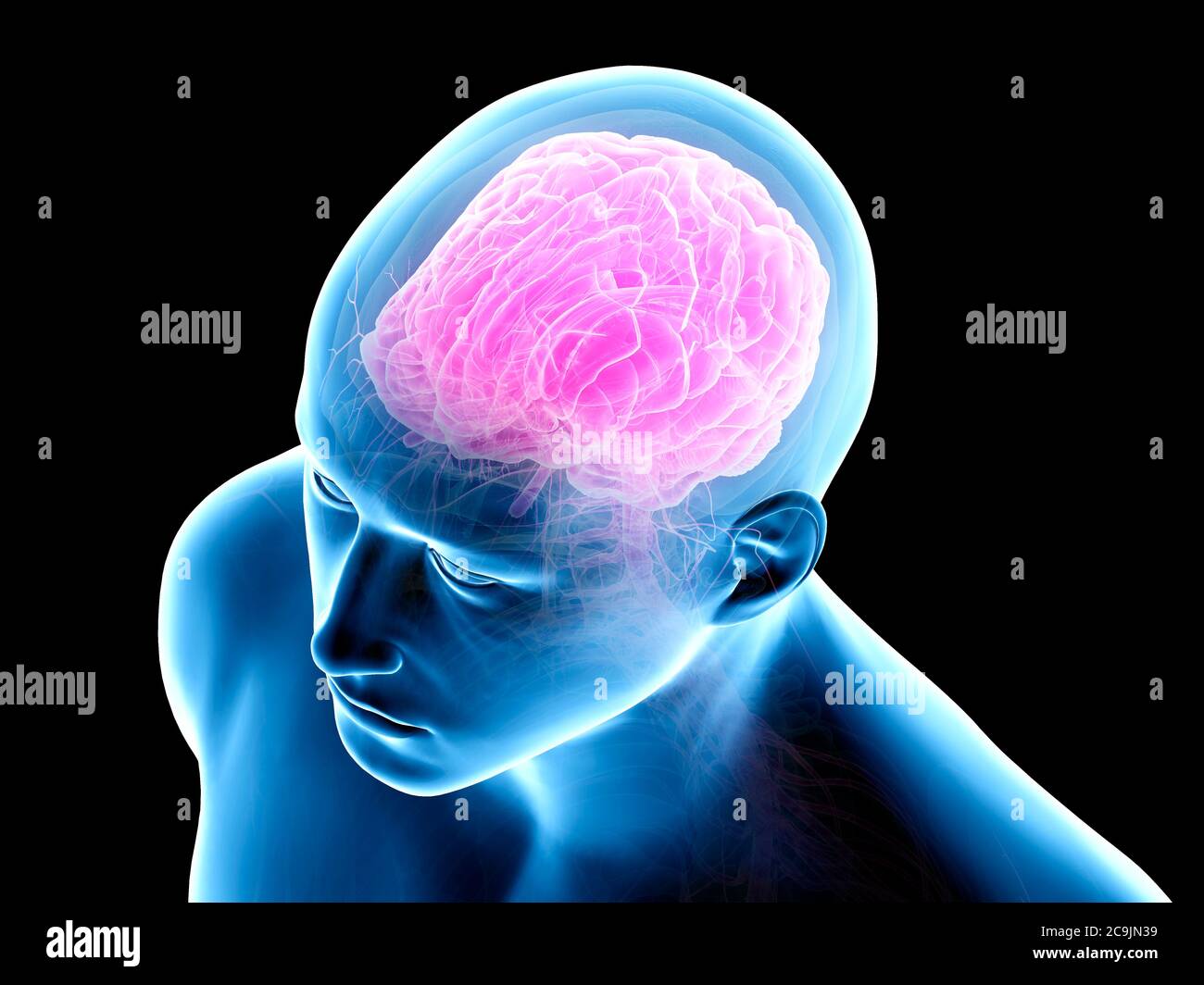 Human brain, computer illustration Stock Photo - Alamy