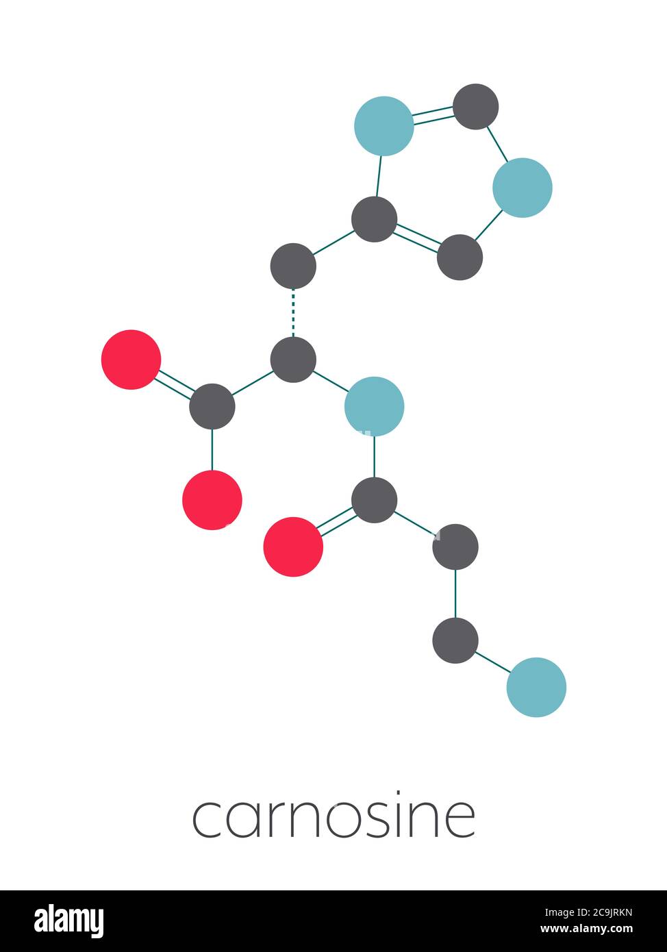 Carnosine (L-carnosine) food supplement molecule. Stylized skeletal formula (chemical structure): Atoms are shown as color-coded circles connected by Stock Photo