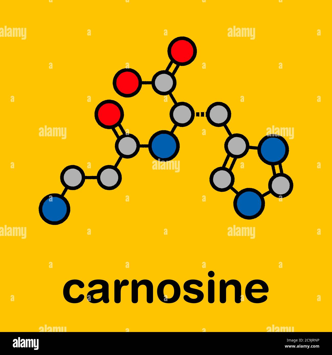 Carnosine (L-carnosine) food supplement molecule. Stylized skeletal formula (chemical structure): Atoms are shown as color-coded circles with thick bl Stock Photo