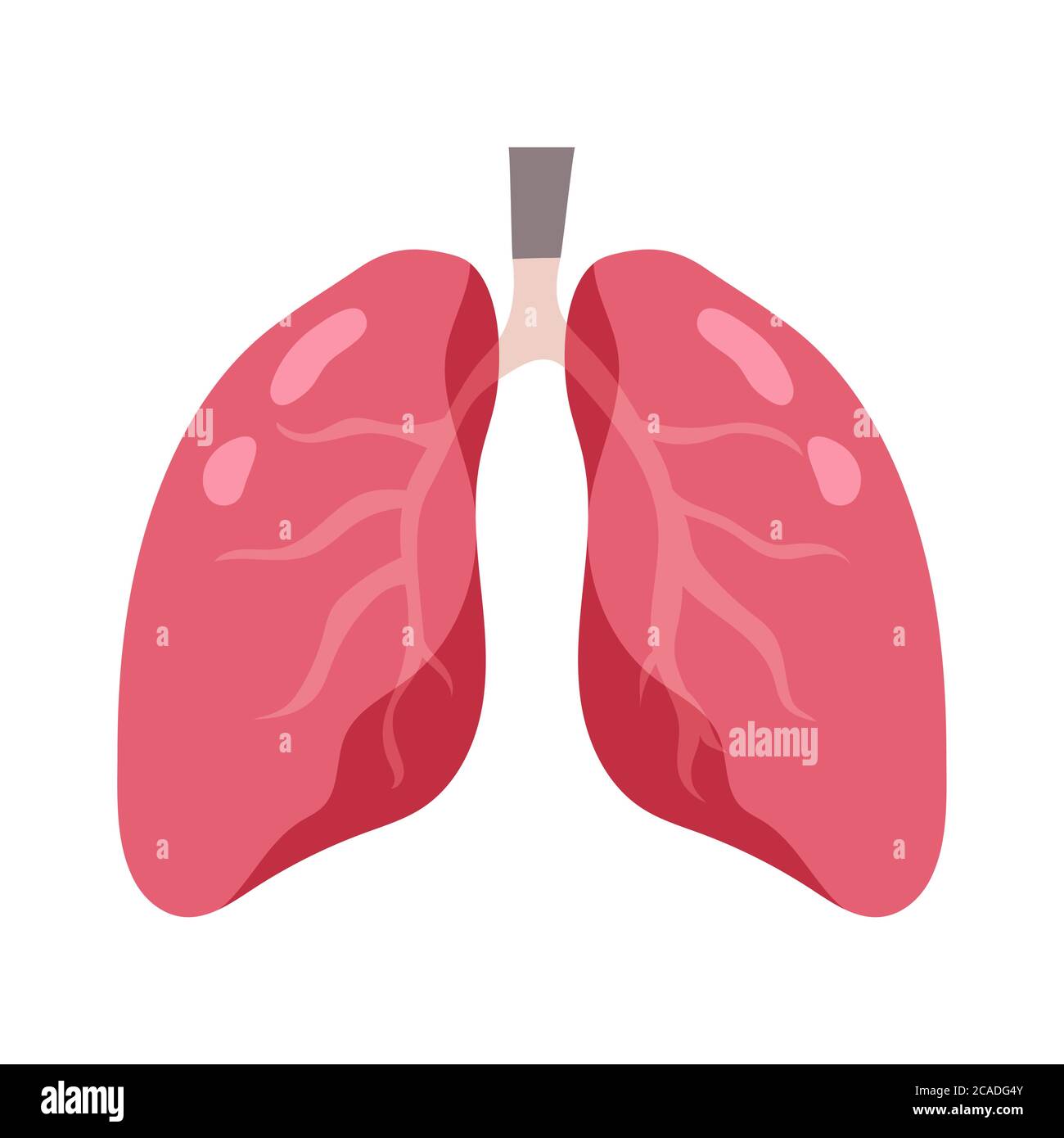 Healthy lungs and disease lungs vector Illustration Stock Vector