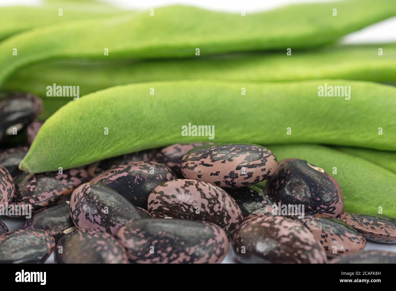 Fire bean seeds Stock Photo