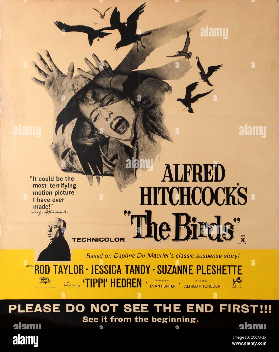 Movie poster The Birds by Alfred Hitchcock. Museum: PRIVATE COLLECTION. Author: ANONYMOUS. Stock Photo