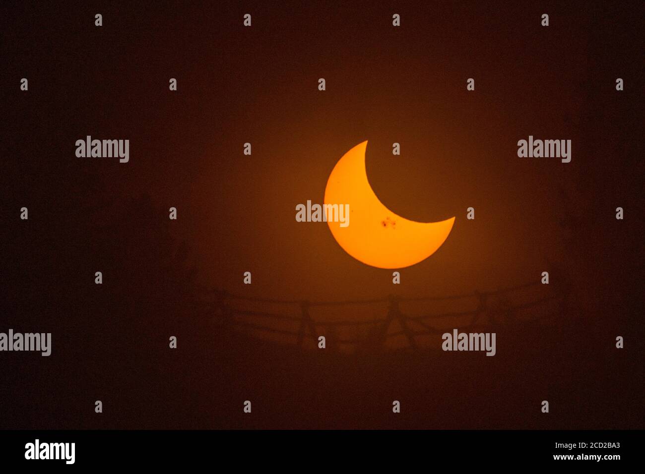 A solar eclipse seen above the silhouette of a fence and some trees in Steamboat Springs, Colorado. Sunspots are visible on the sun and the edge of th Stock Photo