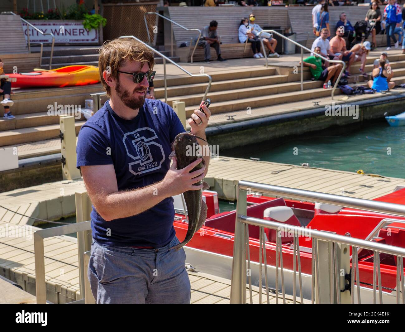 Man weighing channel catfish he caught, the fish weighed over five pounds/2.3kg.  Chicago Riverwalk. Channel catfish can grow as large as 50lbs/23kg. Stock Photo