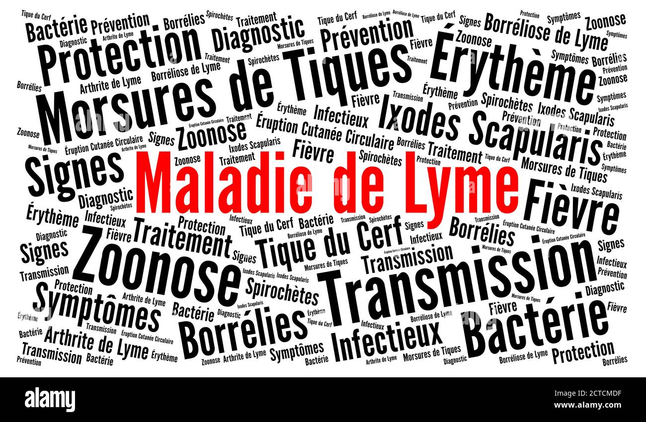 Lyme disease word cloud in french language Stock Photo