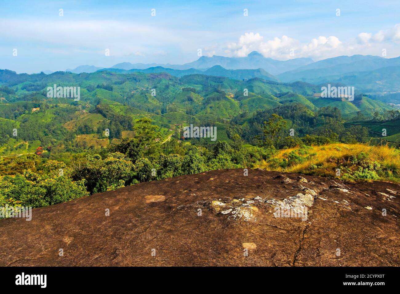 View over Lakshmi tea estate to the Western Ghats & 2695m Anamudi, highest peak in south India; Lakshmi, Munnar, Kerala, India Stock Photo