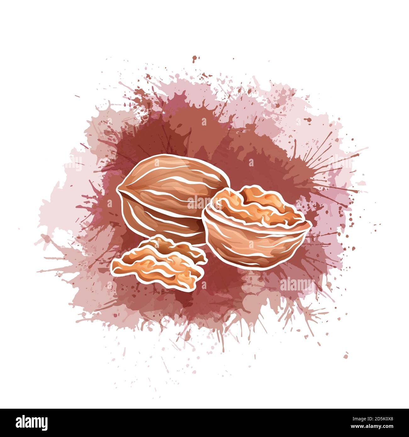 Illustration of cartoon walnut with watercolor splashes and drops isolated from the background. Whole nut and half with kernel. Healthy food. Vector e Stock Vector