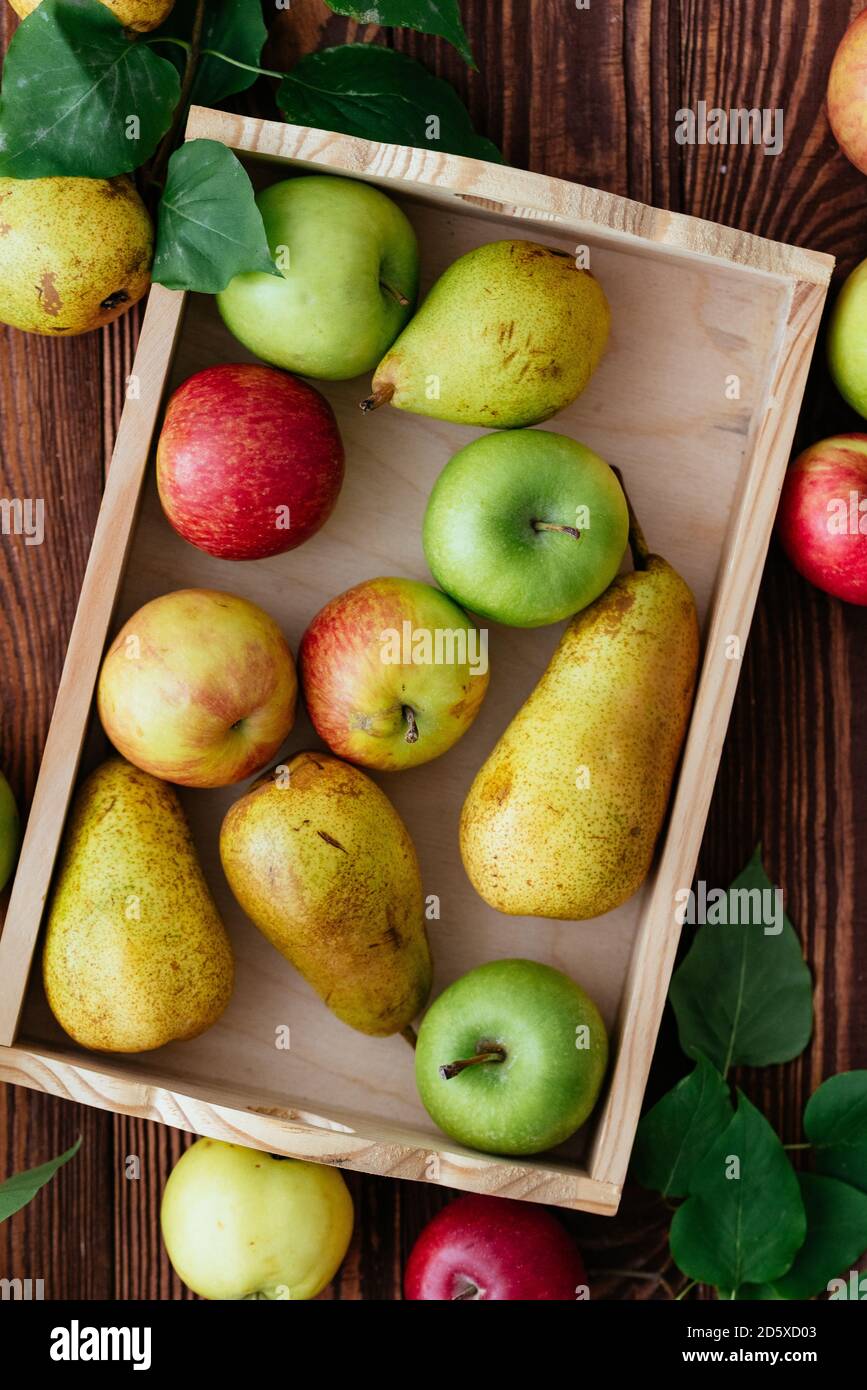 apples and pears in a tray on a wooden background Stock Photo