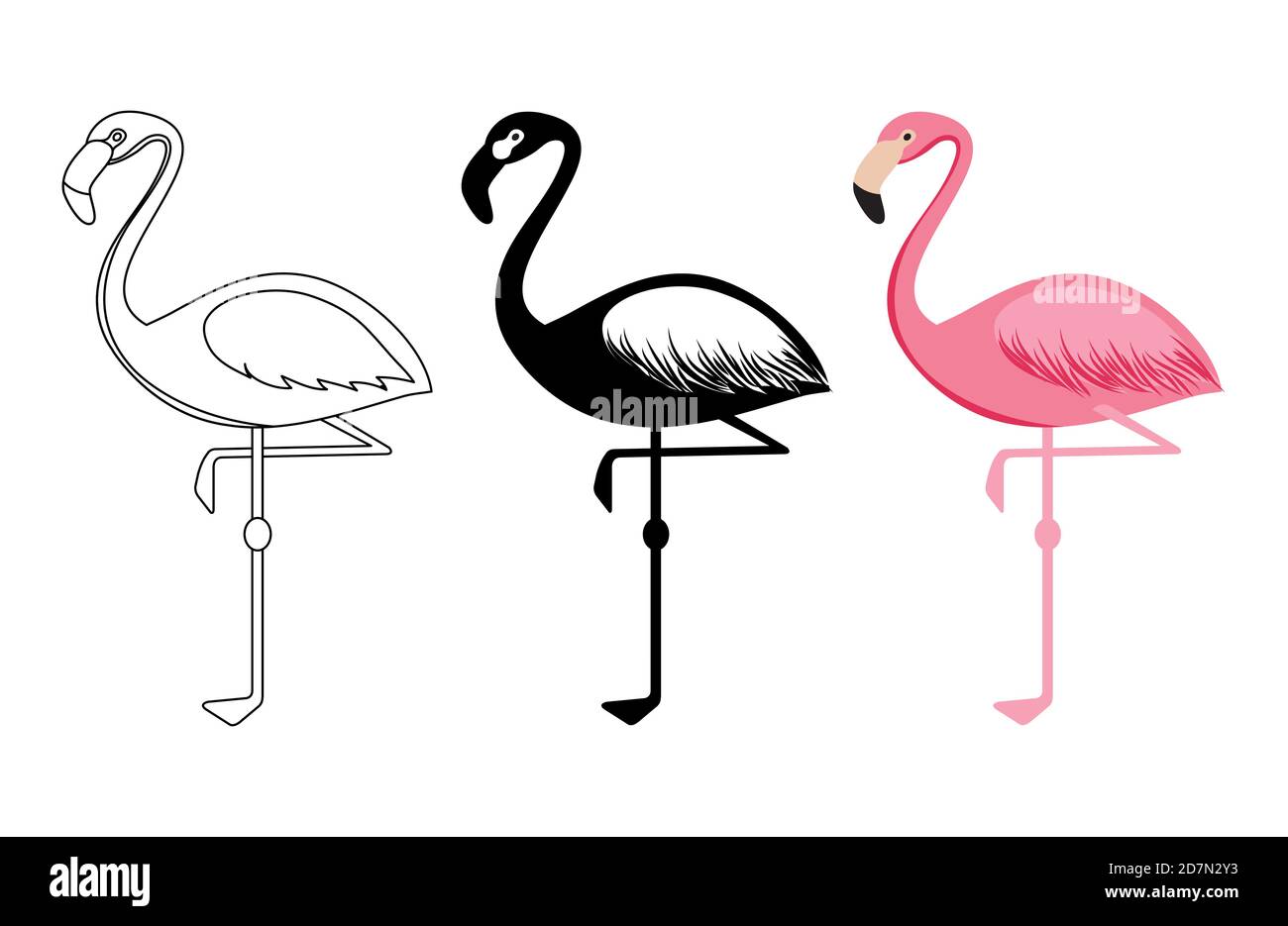 Outline and silhouettes flamingo vector isolated on white background. Bird flamingo silhouette and outline illustration Stock Vector