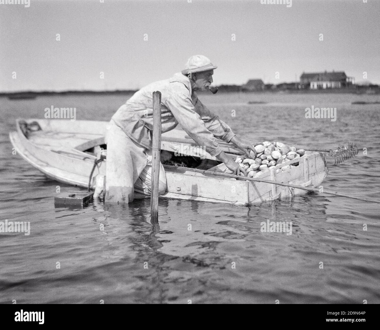 1920s SENIOR MAN CLAMMING STANDING IN THE WATER BY A DUCK BOAT FULL OF CLAMS RAKED UP FROM BOTTOM BARNEGAT BAY NEW JERSEY USA - c47 HAR001 HARS B&W HARVESTING SKILL OCCUPATION SKILLS OLD AGE OLDSTERS OLDSTER LABOR UP EMPLOYMENT OCCUPATIONS ELDERS CONCEPTUAL ANGLING EDIBLE CLAMS EMPLOYEE CLAMMING BLACK AND WHITE CAUCASIAN ETHNICITY CLAM HAR001 LABORING OLD FASHIONED SEAFOOD Stock Photo