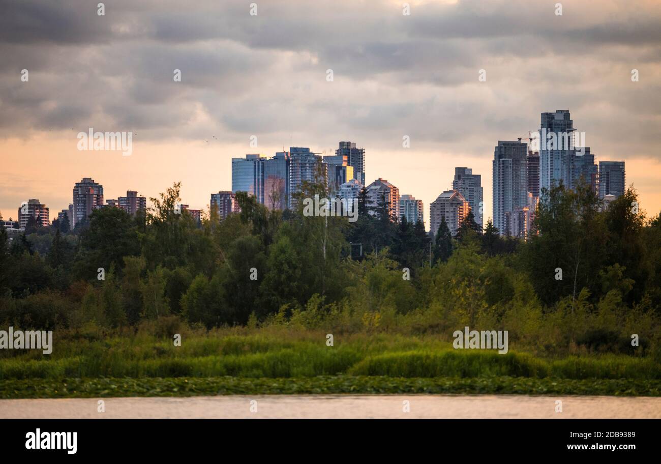 Canoeing on Burnaby Lake, British Columbia. Stock Photo