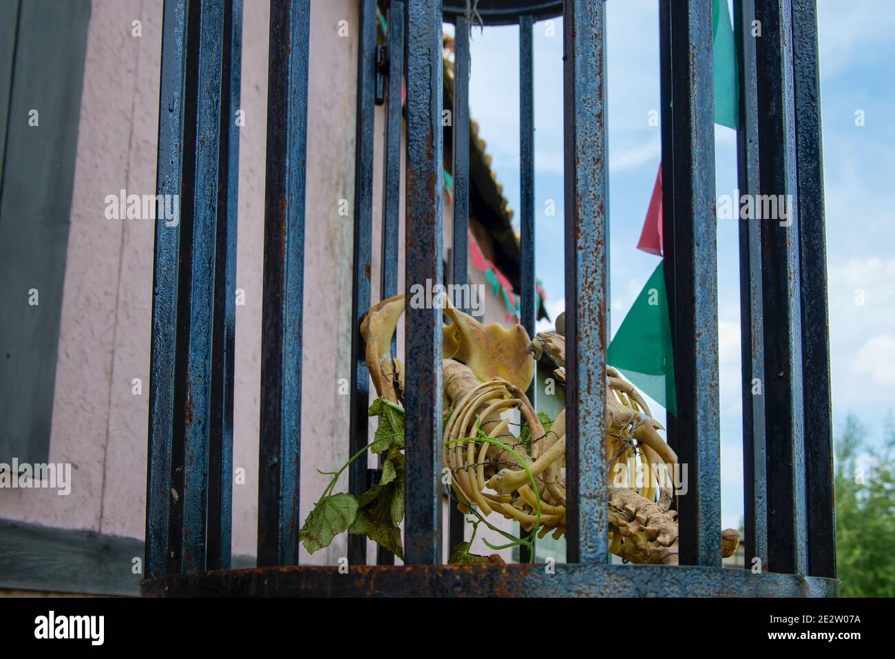 A dummy of the skeleton of a wild animal in a metal cage Stock Photo