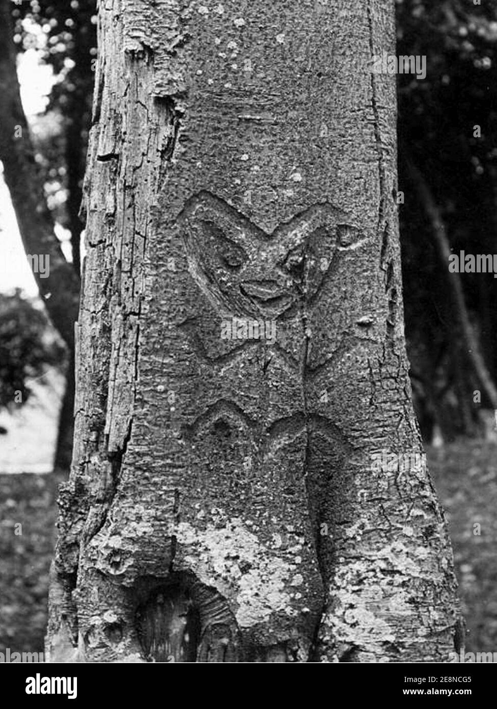 Moriori carving Chatham Islands 1900 cut Stock Photo - Alamy