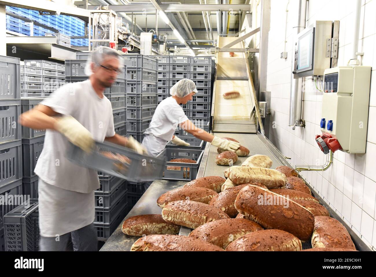 Worker in a large bakery - industrial production of bakery products on an assembly line Stock Photo