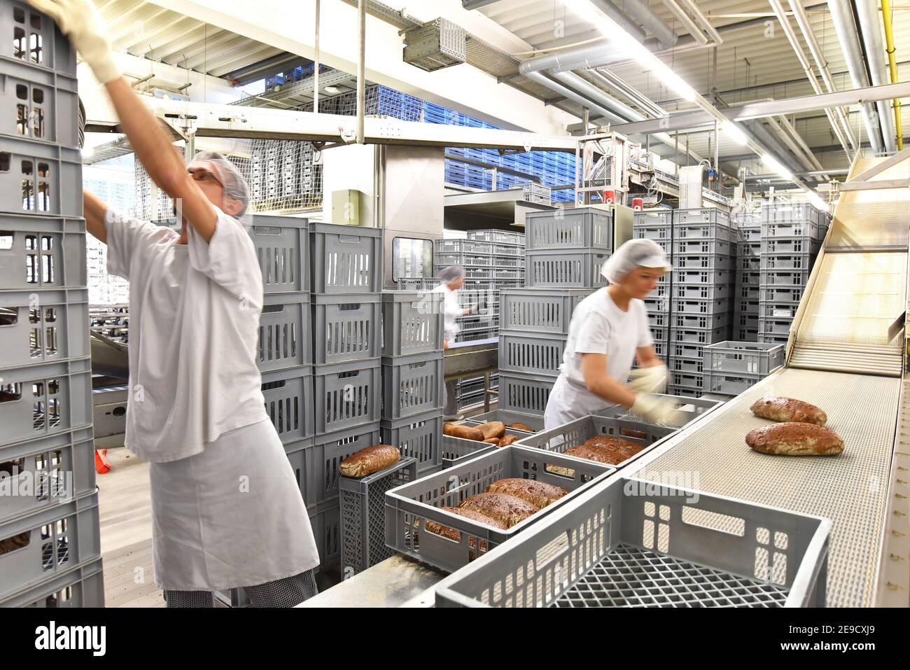 Worker in a large bakery - industrial production of bakery products on an assembly line Stock Photo