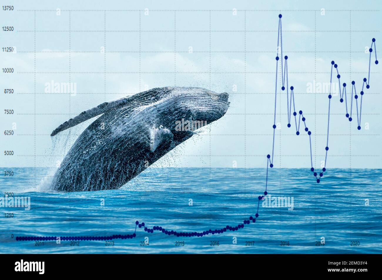 Breaching whale with stock market money cripto value bitcoin diagram flow chart Stock Photo