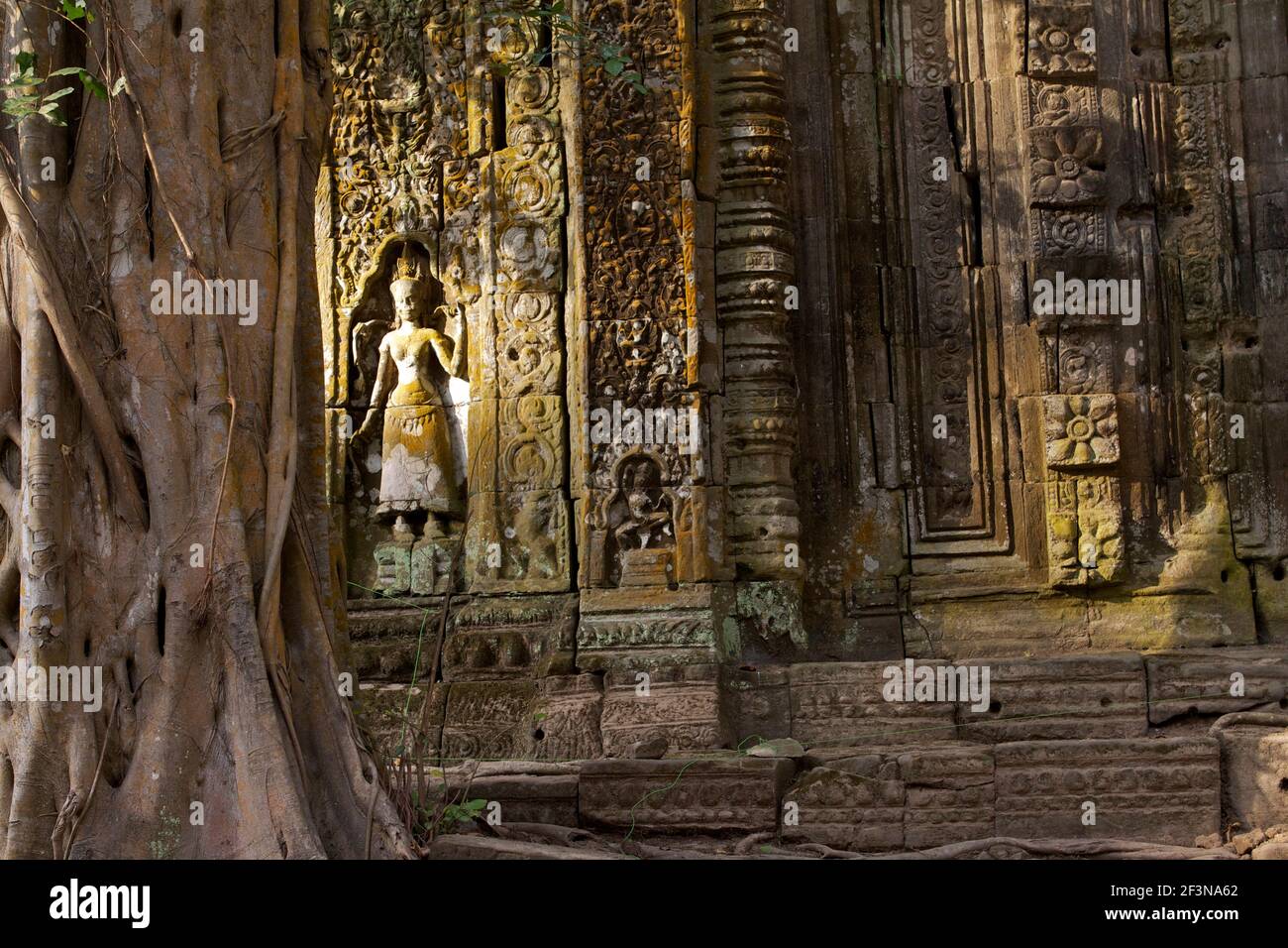 Outer wall showing bas-reliefs and Apsara on the exterior gallery of Ta Prohm - built by the Khmer King Jayavarman VII as a Mahayana Buddhist monaster Stock Photo