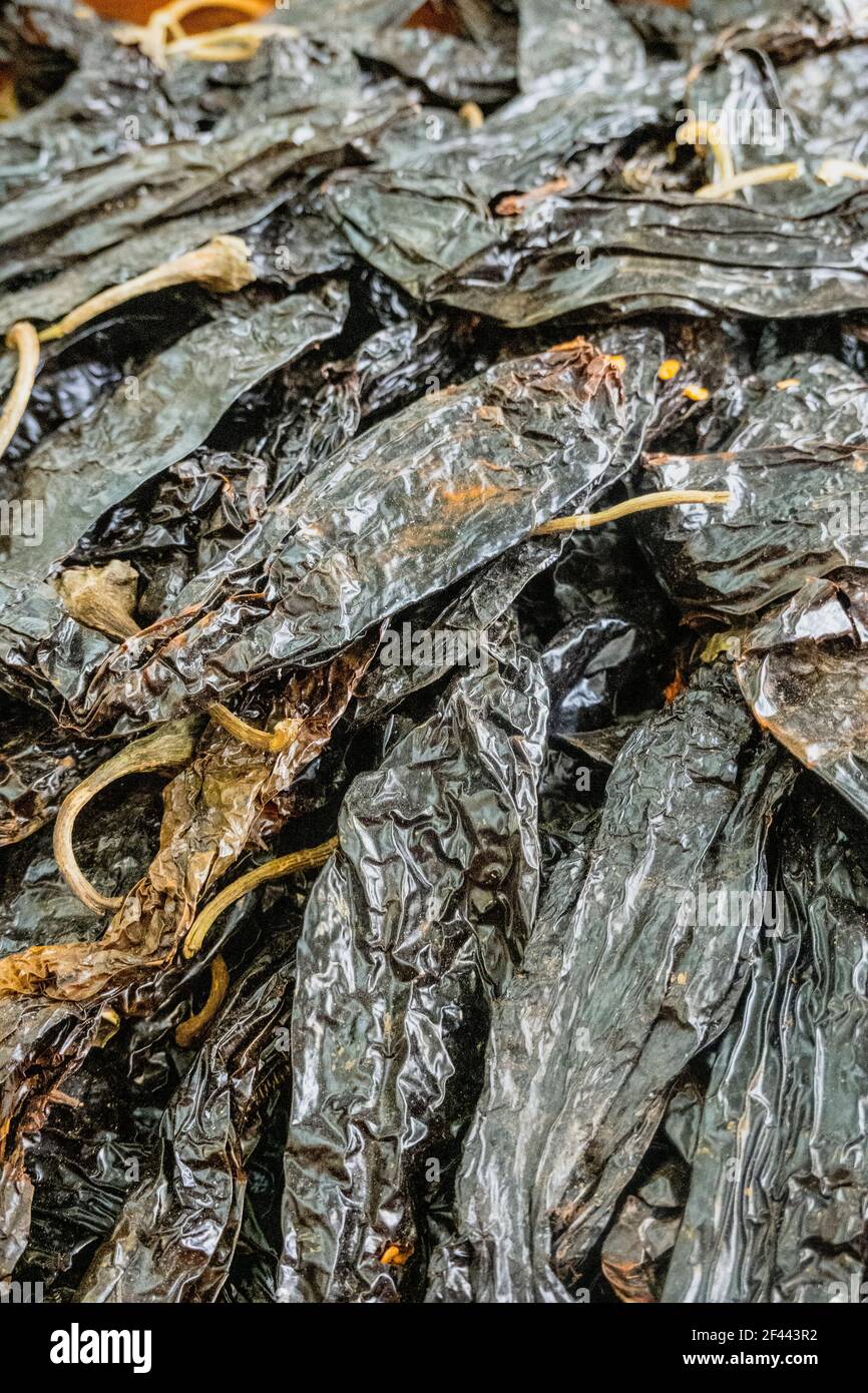 Black Chili in a pile ready for sale. Stock Photo