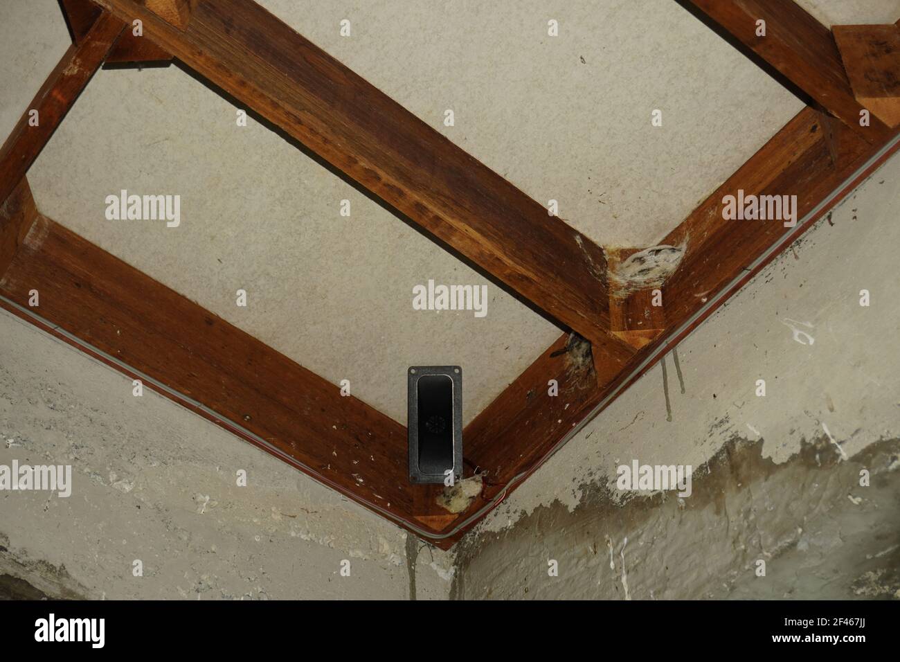 Interior of the swiftlet bid house with the nest on the roof. Stock Photo