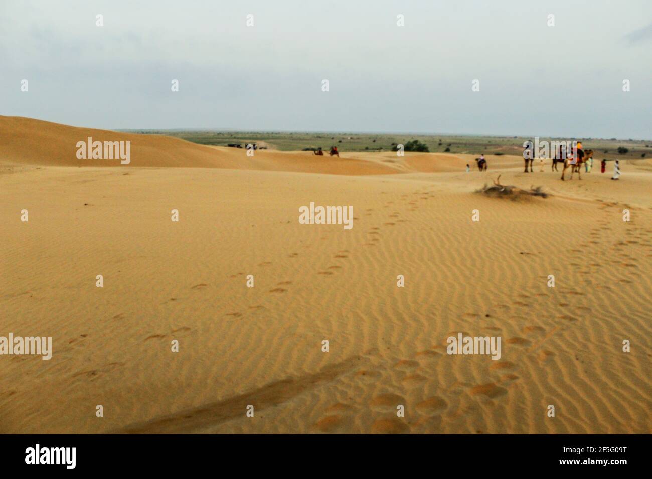 Various views of the Sam's sand dunes Stock Photo