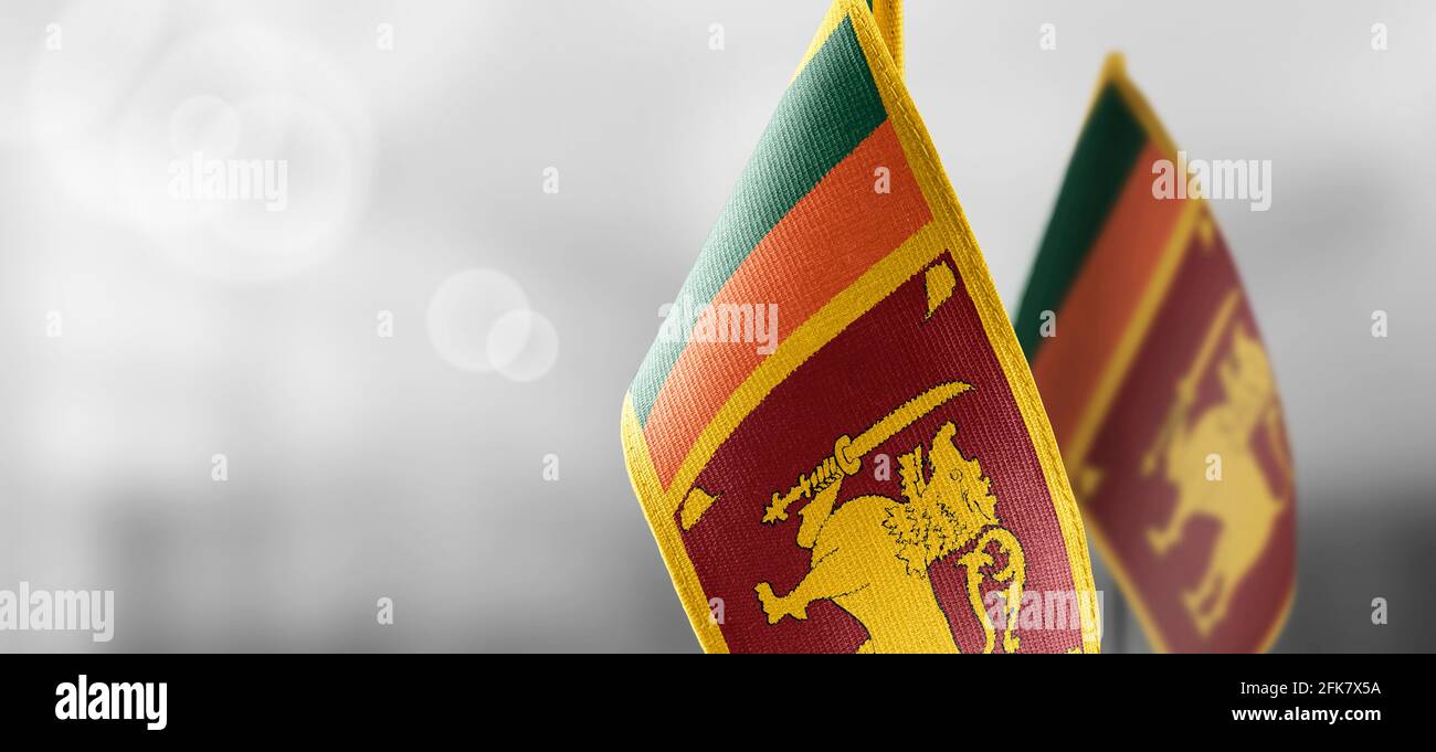 Small national flags of the Sri Lanka on a light blurry background Stock Photo