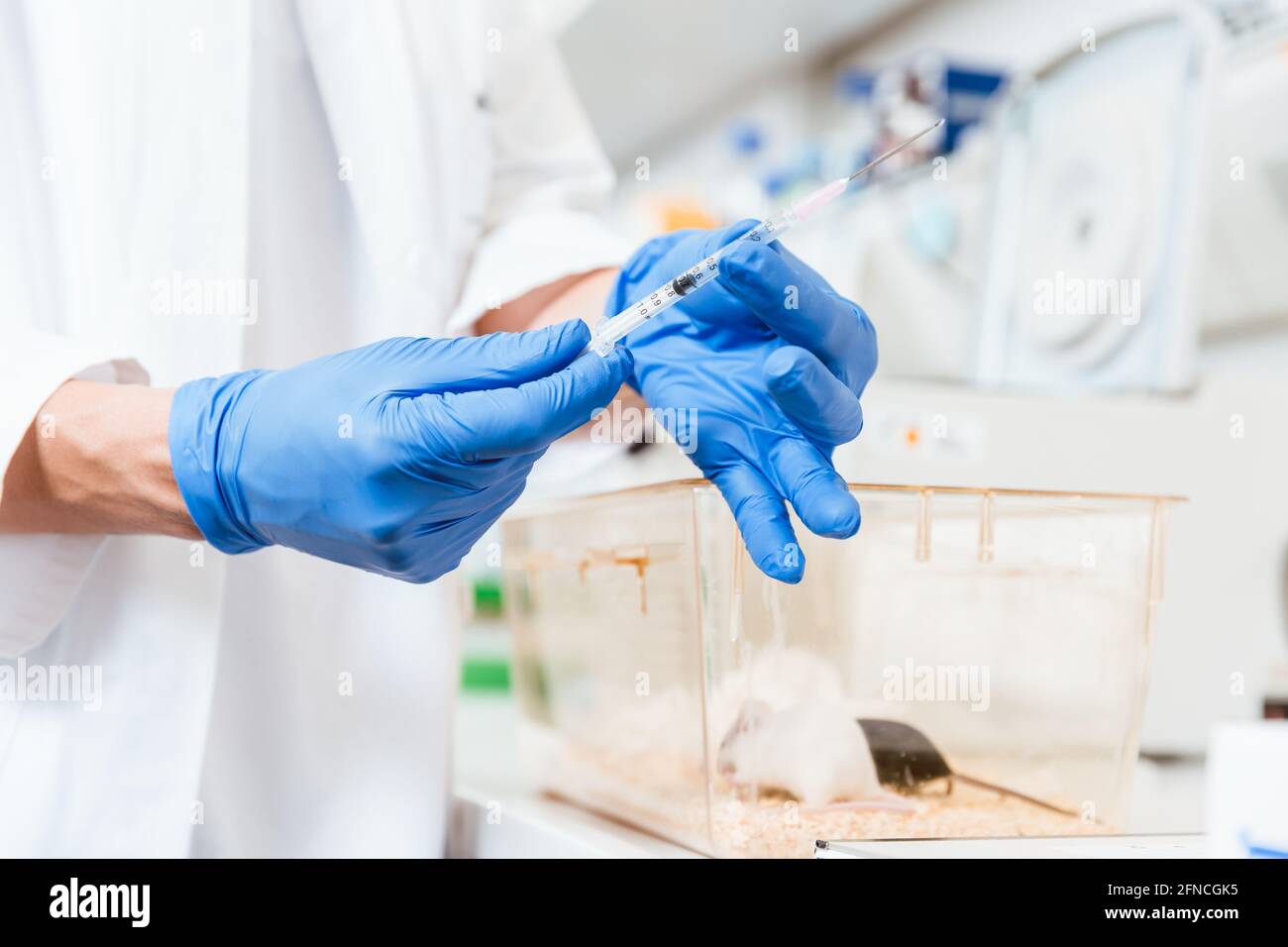 Female scientist hand using syringe Stock Photo