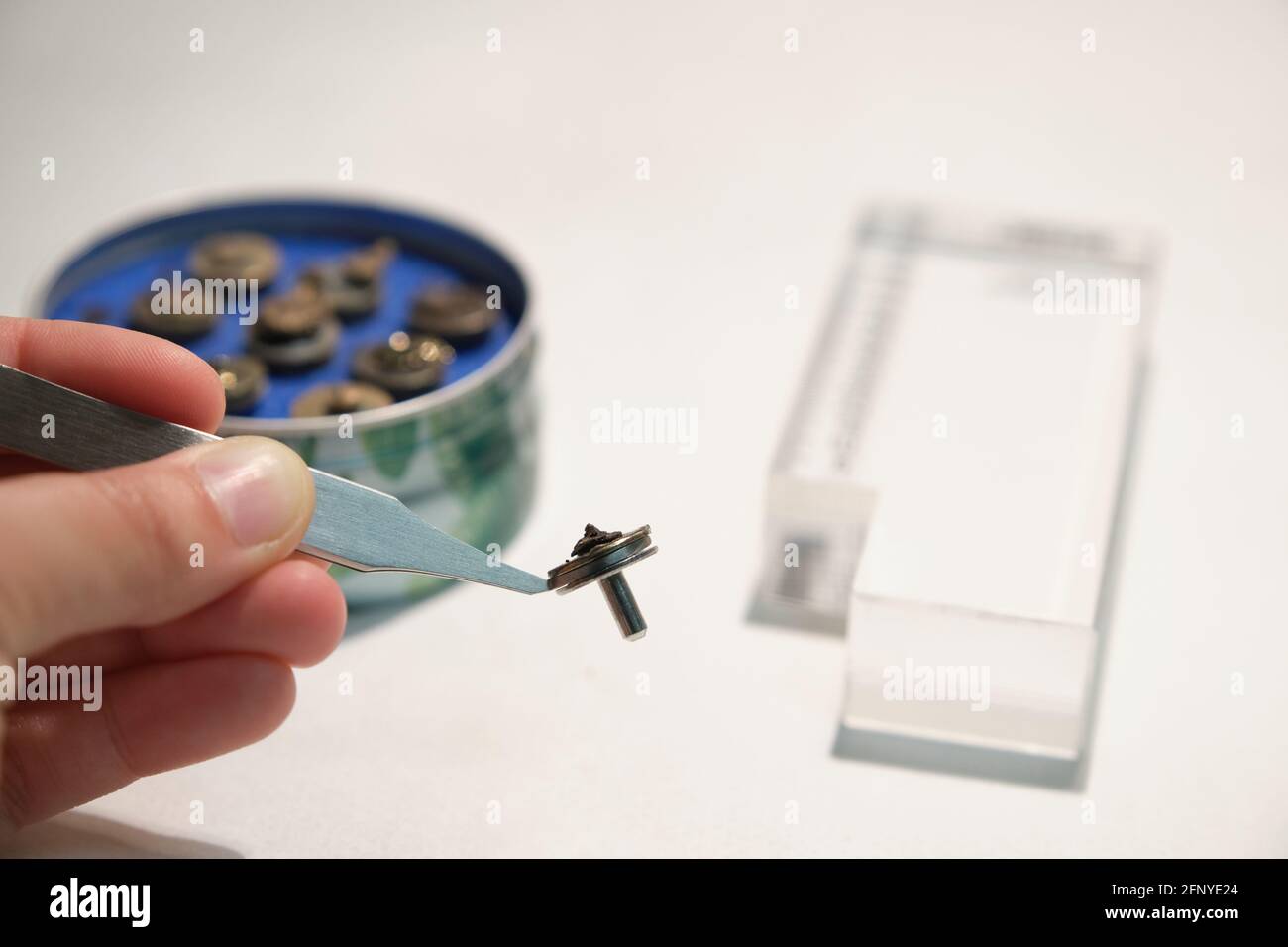 Scientific hand holding a tweezers with a scanning electron microscope sample on a specimen mount. SEM pins to analyze. Stock Photo