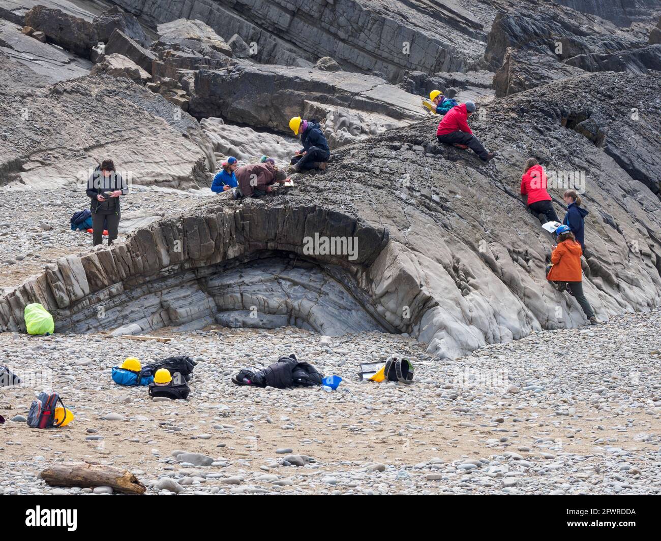 Students on a field trip to study the rocks, Bude, Cornwall, UK Stock Photo